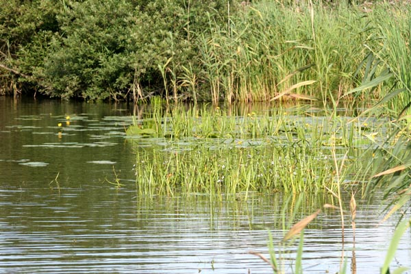 Dahmer Kanal Mecklenburgische Schweiz